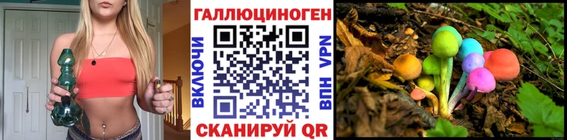 купить наркоту  hydra ссылка  Псилоцибиновые грибы прущие грибы  Катайск 